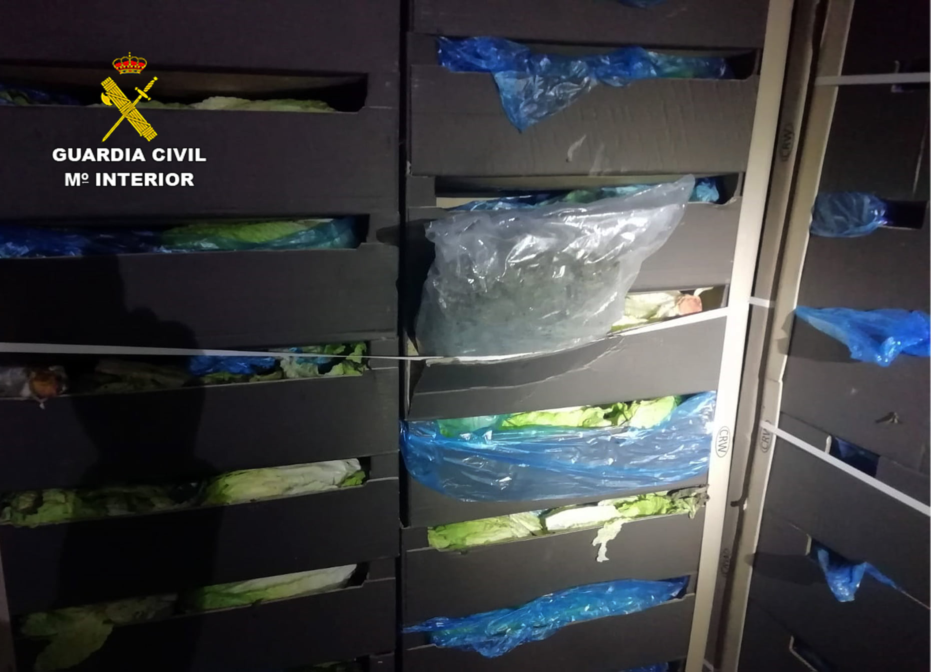 Lorries Carried Marijuana Concealed In Lettuce Crates From Murcia Area Of Spain To Ireland