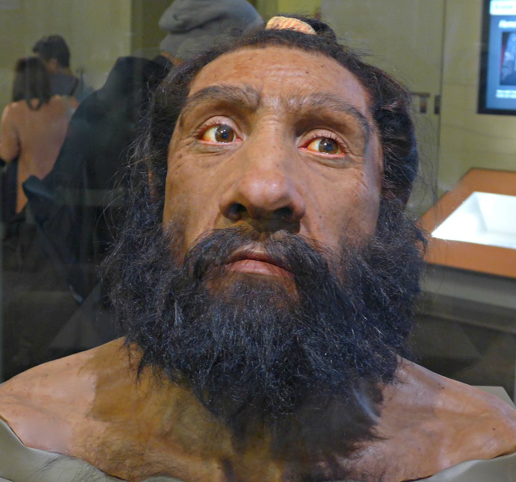 Secret chamber discovered in Gibraltar cave sheds new light on life of