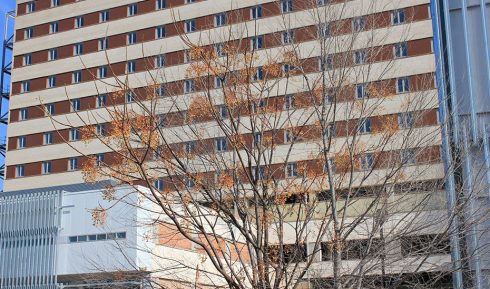 Military Hospital in Sevilla discharges its last patient with coronavirus