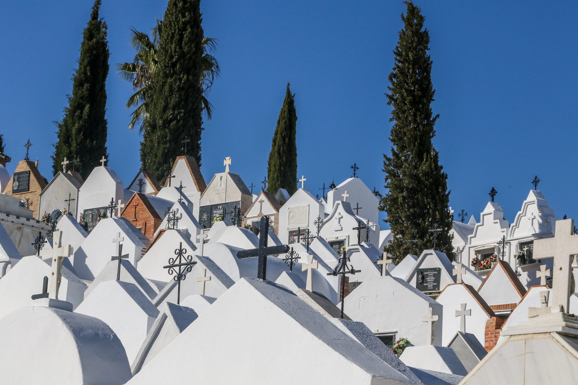 IN PICS: This is how All Saints' Day is celebrated across Spain - Olive ...