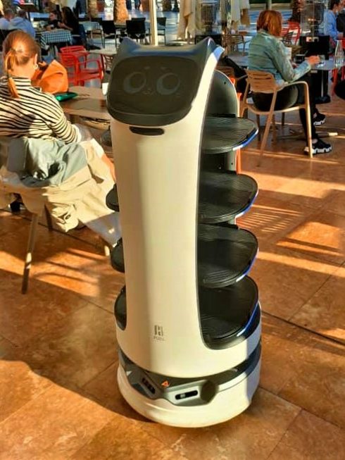 Robot with cat-like appearance is serving diners at an award-winning restaurant in Costa Blanca area of Spain