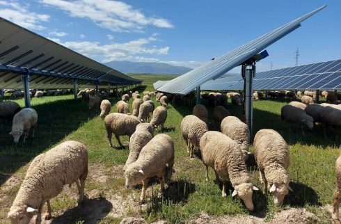 Solar Farm Plans Unveiled In Spain's Alicante Area For Project That Could Power 70,000 Homes