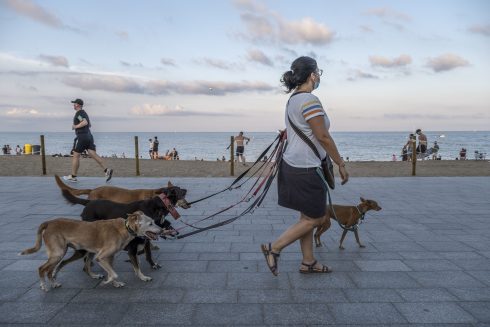 Socialization On Barcelona's Beaches Amid Covid 19 In Barcelona, Spain 24 Jul 2020