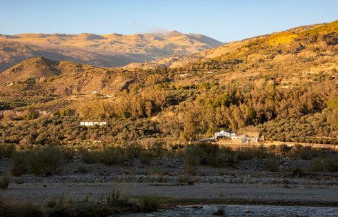 Ciggy Vista From Riverbed