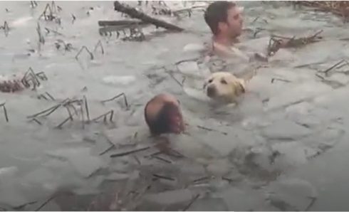 Dog Saved From Frozen Lake