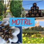 Motril travel spain costa tropical