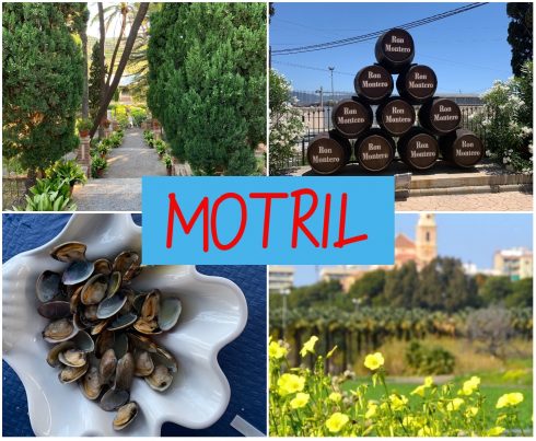 Motril travel spain costa tropical