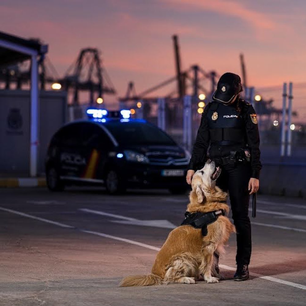 Spanish Police Dog Via Europol