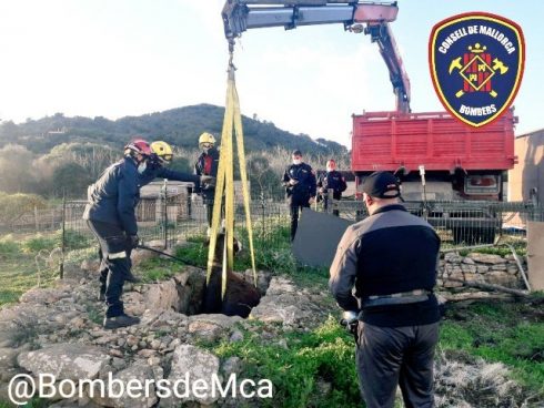 Donkey drama as crane lifts trapped animal out of a well on Spain's Mallorca