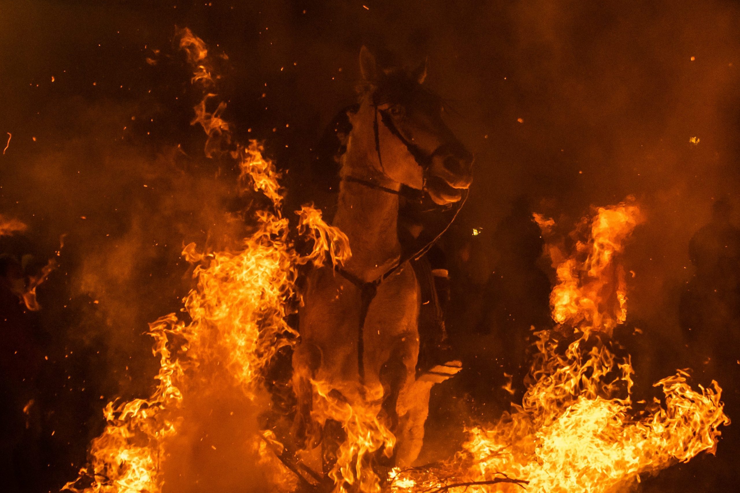 Horses jump through 'purification' bonfires during Las Luminarias ceremony in Spain