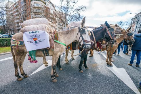 Great Demonstration Of The Rural World In Madrid, Spain 23 Jan 2022