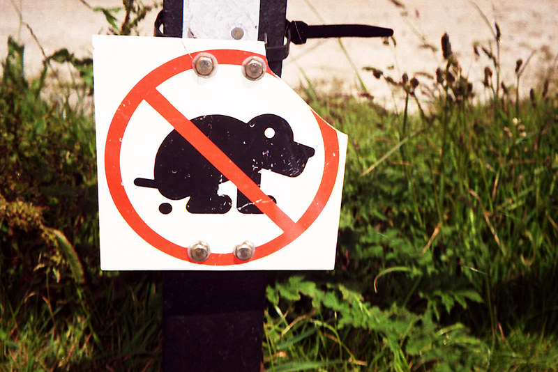 dog poo photo by Darren Riley/flickr flickr