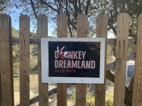 Donkey Dreamland 6