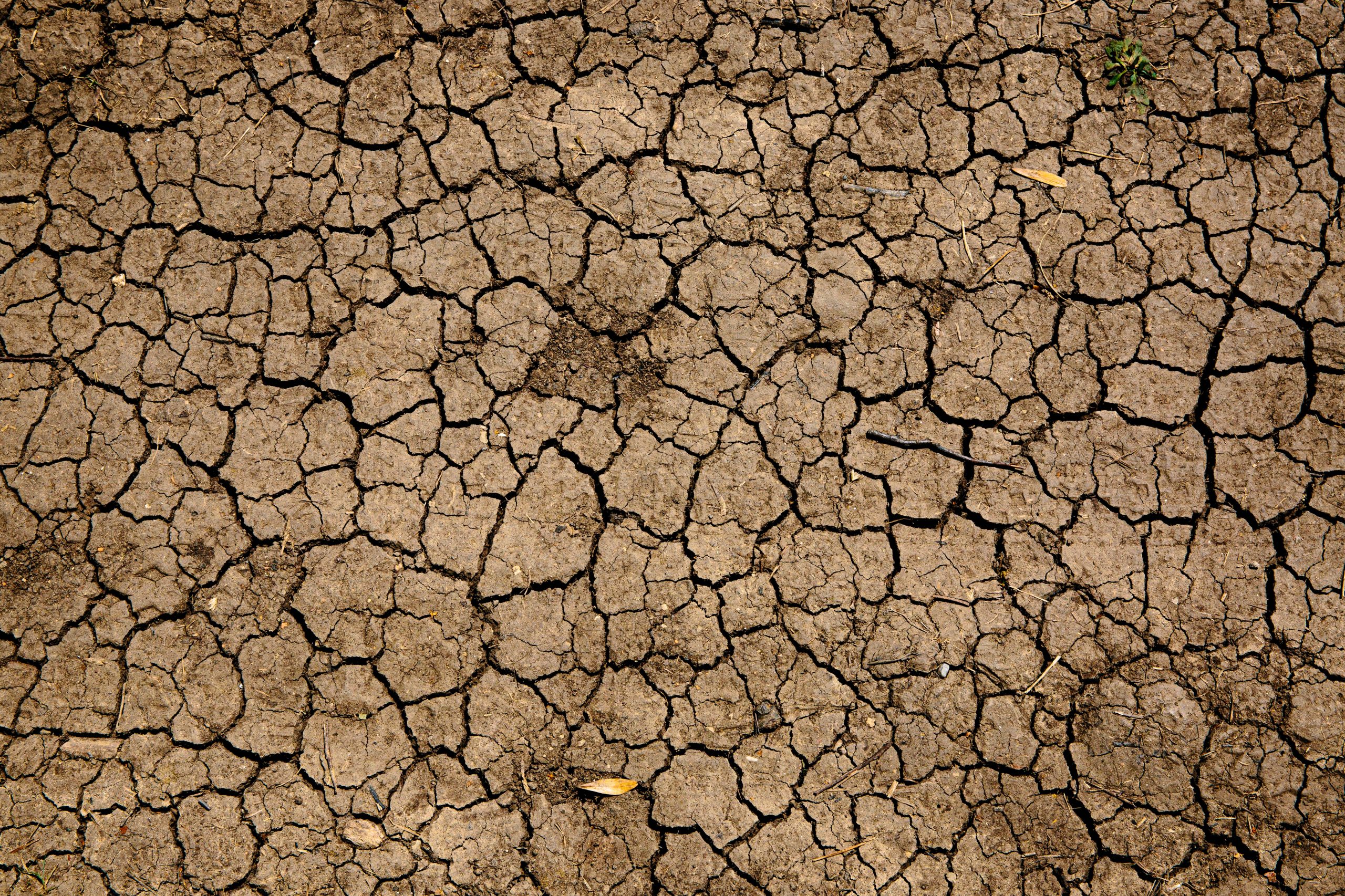 Spain’s ongoing drought is listed in the world’s top 10 ‘most expensive natural disasters’ of 2023