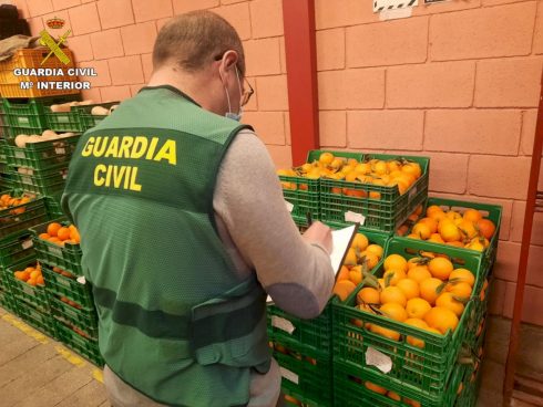 Oranges Contaminated With Banned Pesticide Seized From Fruit Dealer In Costa Blanca And Valencia Areas Of Spain