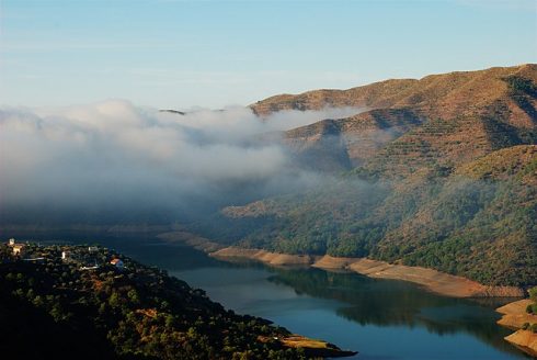 Pantano De Río Verde