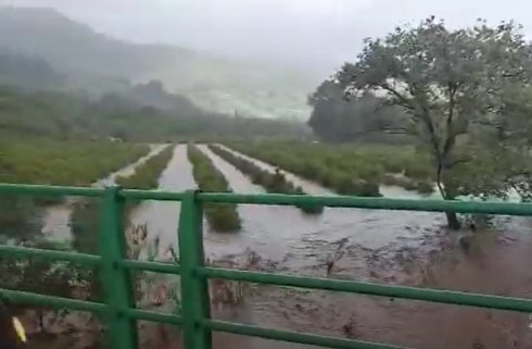 Floods Gaucin