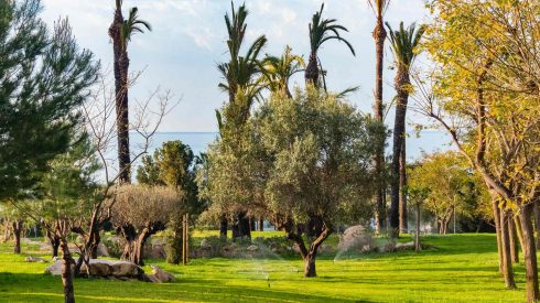 Benidorm In Spain Creates A New Garden 'green' Space For Residents And Visitors To Enjoy