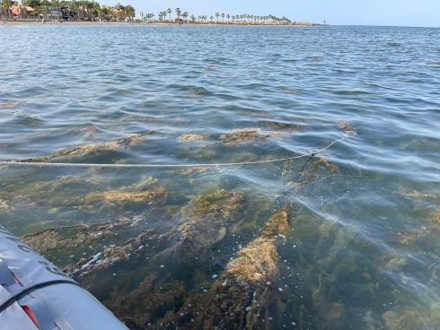 New Pollution 'catastrophe' Warning For Mar Menor Lagoon In Spain's Murcia Region