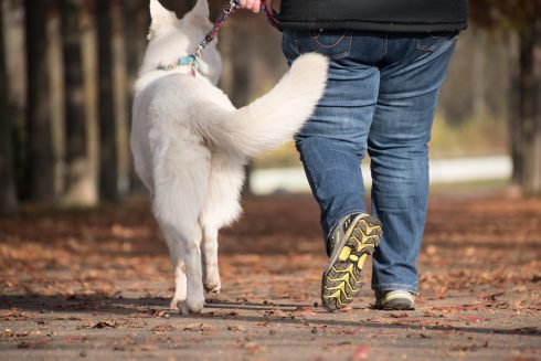 Dog walker