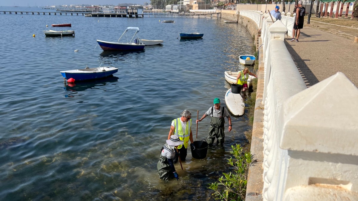 Dead Fish Reappear On Mar Menor Lagoon Shore To Prove Gloomy Predictions Correct In Spain's Murcia Region