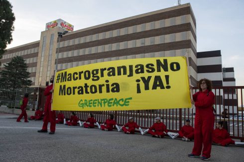 Greenpeace protest at Spain's leading meat producer over environmental pollution caused by mass livestock farming