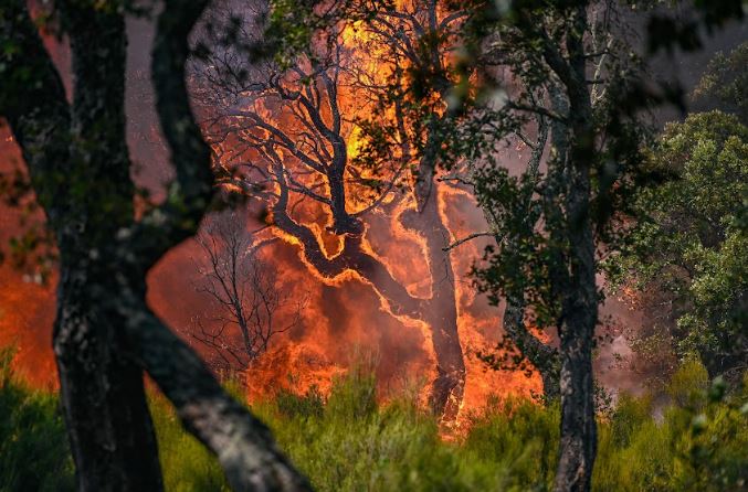 España en camino a la peor temporada de incendios en más de una década