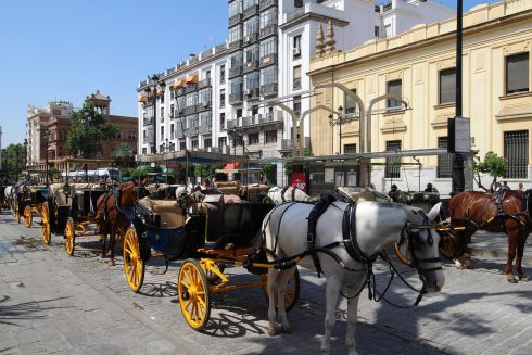 Horses Sevilla