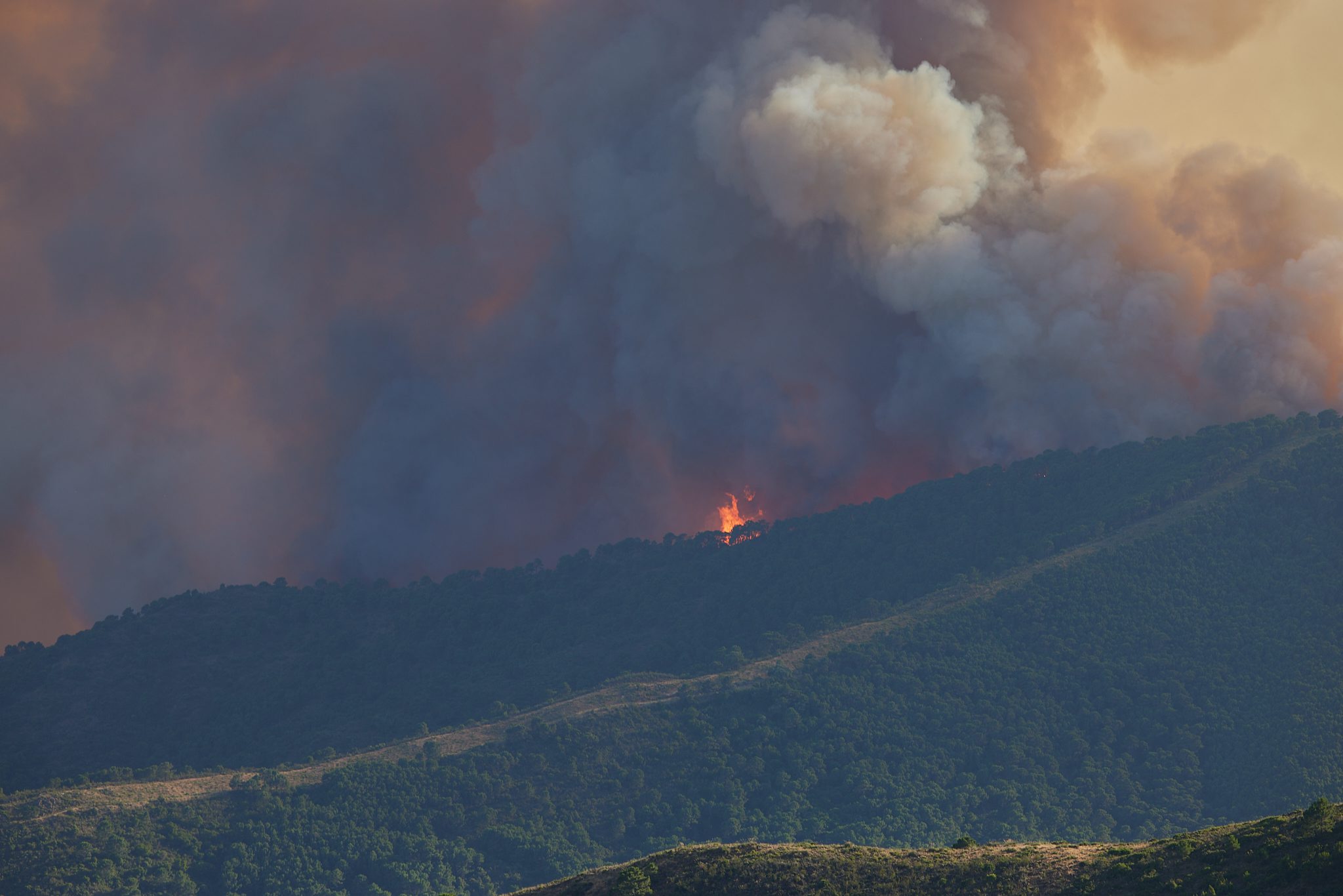 Sierra bermeja fire