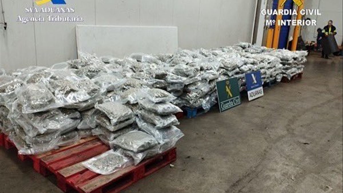 Lettuce lorry carrying marijuana worth €3.7 million pulled over in Spain's Bilbao before boarding Ireland-bound ferry