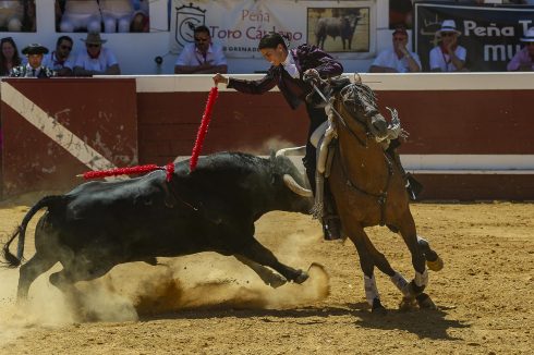 Feria De Dax Corrida De Rejon