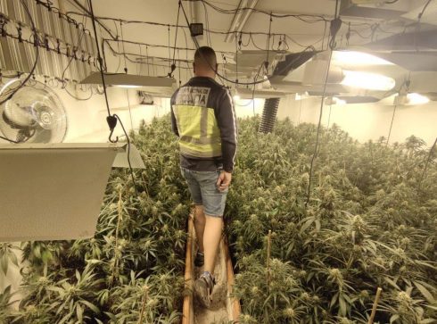 Luxury Villa Turned Into Marijuana Farm In Spain's Valencia With Drugs Sent To Uk