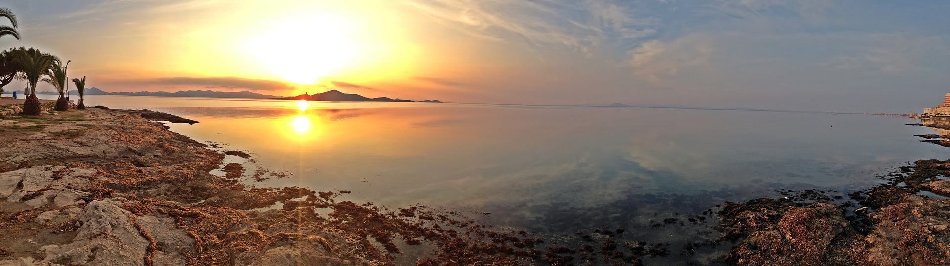 ‘Sopa verde’: los activistas lanzan una petición para exigir la limpieza del Mar Menor de España