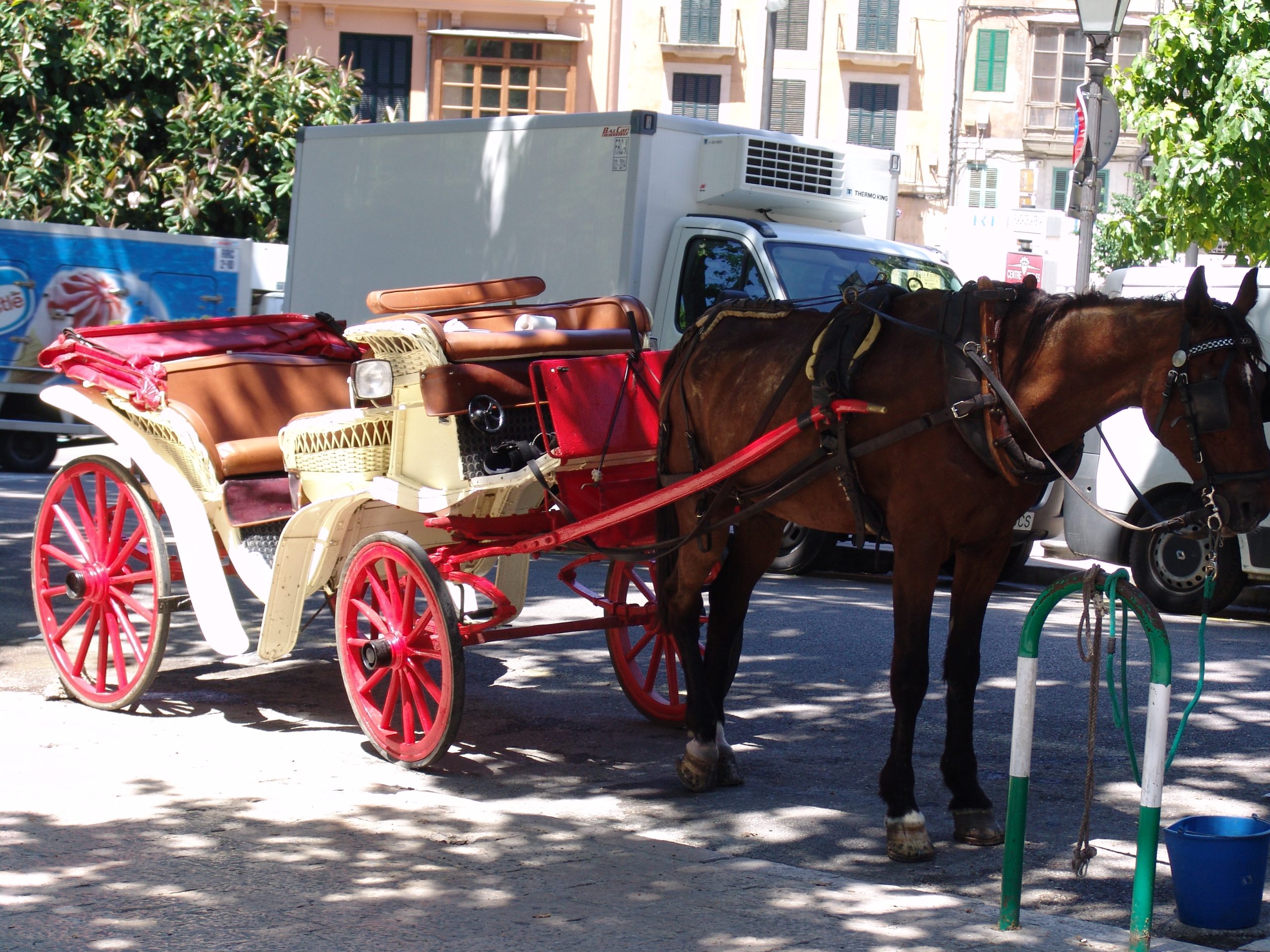 Horse carriage Palma