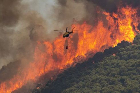 Spain’s Andalucia registers lowest wildfire activity in recent years