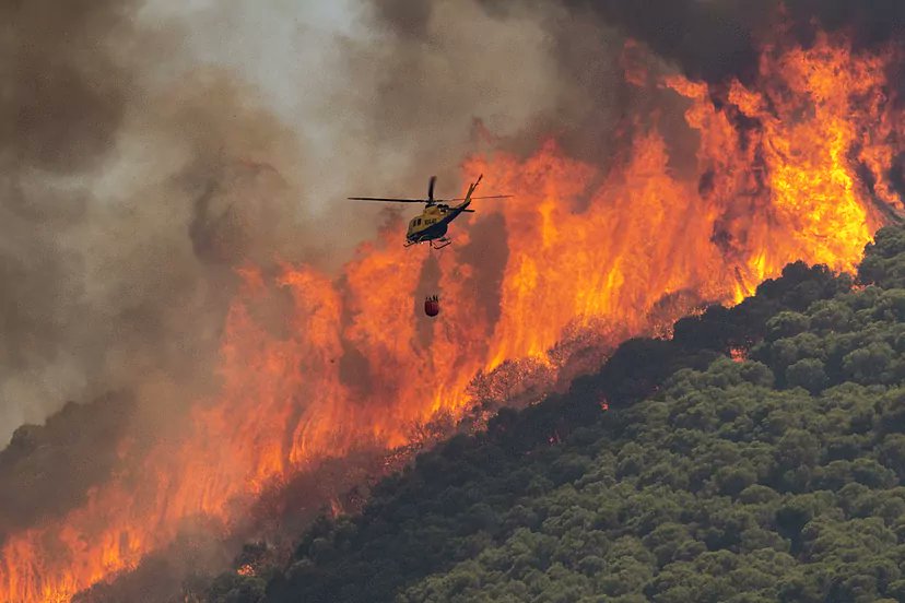 Spain’s Andalucia registers lowest wildfire activity in recent years