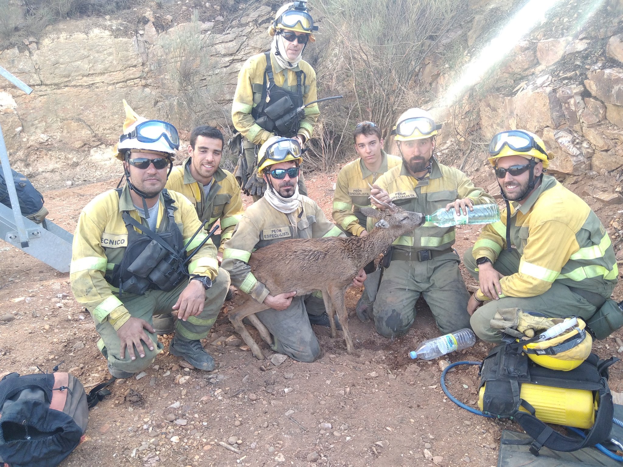 Firefighters hydratating an animal