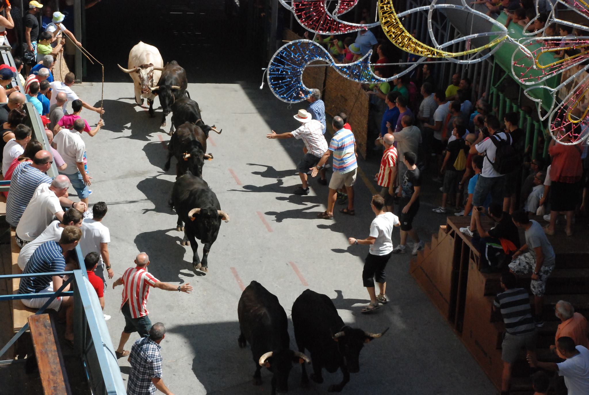 French Tourist Dies After Spending 9 Days In Coma After Bull Gored Him At Costa Blanca Festival In Spain