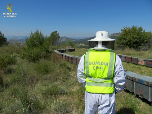 Two Men Try To Swindle Insurers Out Of €96,000 Over Bogus Bee Hive Robberies In Spain's Valencia Area