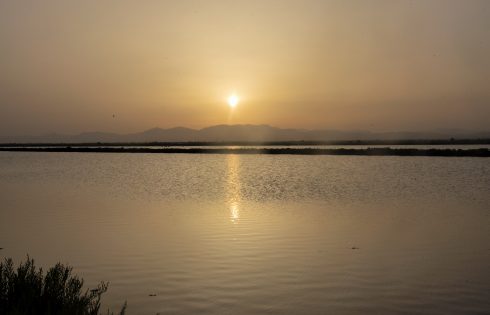 Salt Marshes Towards Santa Pola