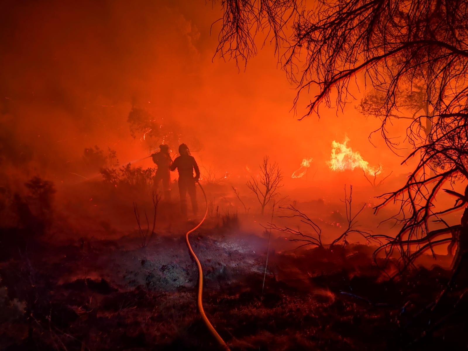 Valencia Forest Fire