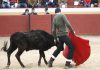 Bullfighting weekend gets banned by council in Spain’s Valencia area Bullfighting Event Gets Banned By Council In Spain's Valencia Area