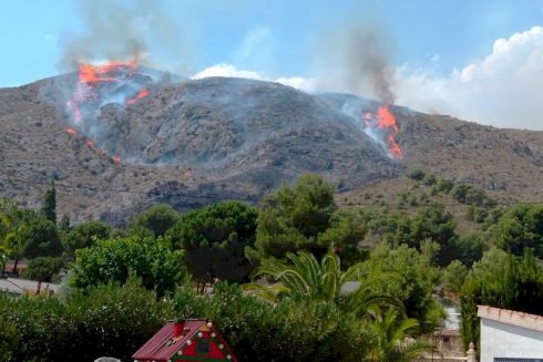 Forest fire starts after man throws out used barbecue charcoal in Alicante area of Spain