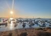 Police probe major boat gathering in protected waters of Mar Menor lagoon in Spain Police Investigate Why Over 100 Boats Took Part In Illegal Party In Environmentally Protected Area Of Mar Menor Lagoon In Spain