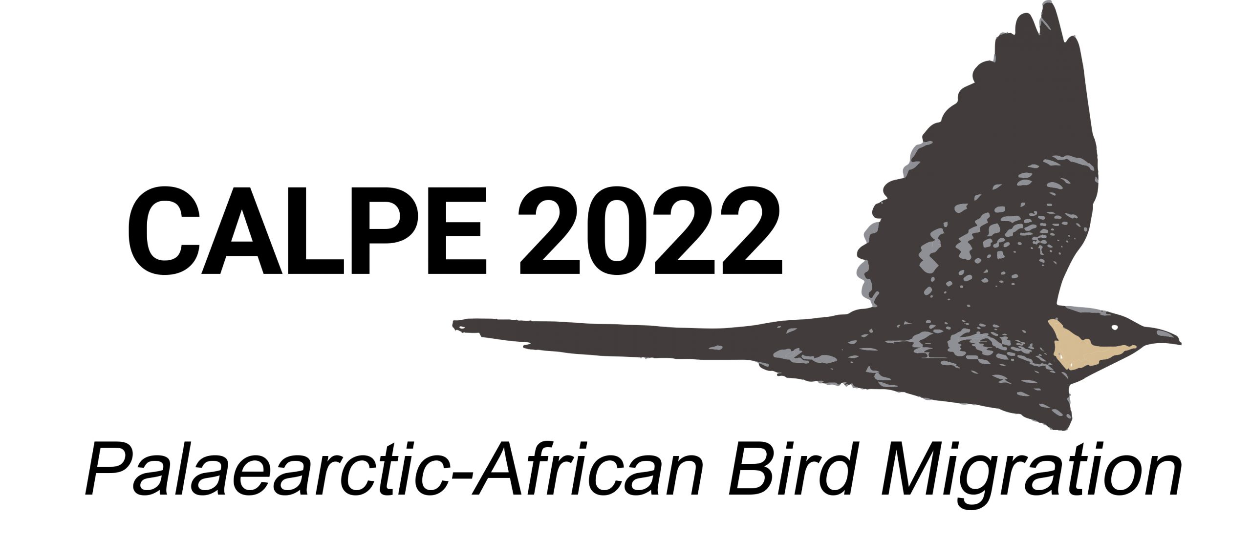 Logo Calpe 2022