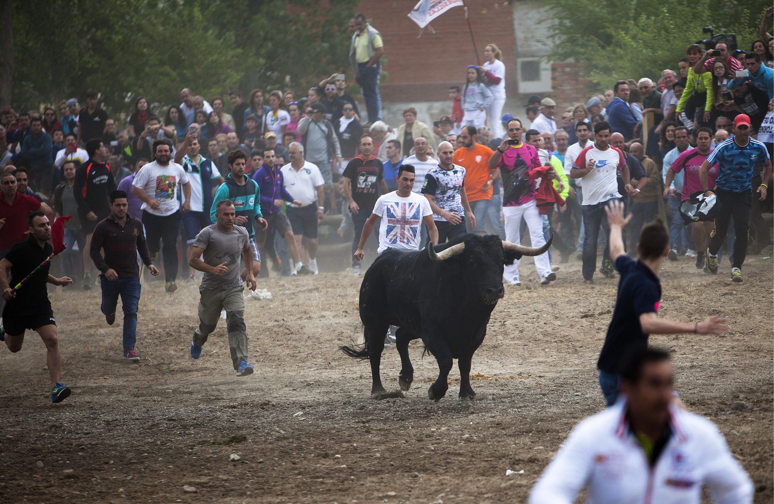 El Toro de la Vega: The Shame of Spain, Saving Earth