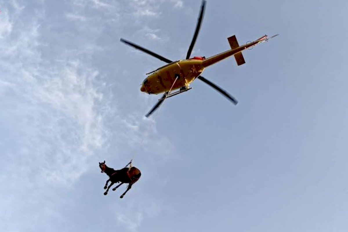 Helicopter Hoists Out Trapped Horse From Ditch On Spain's Costa Blanca