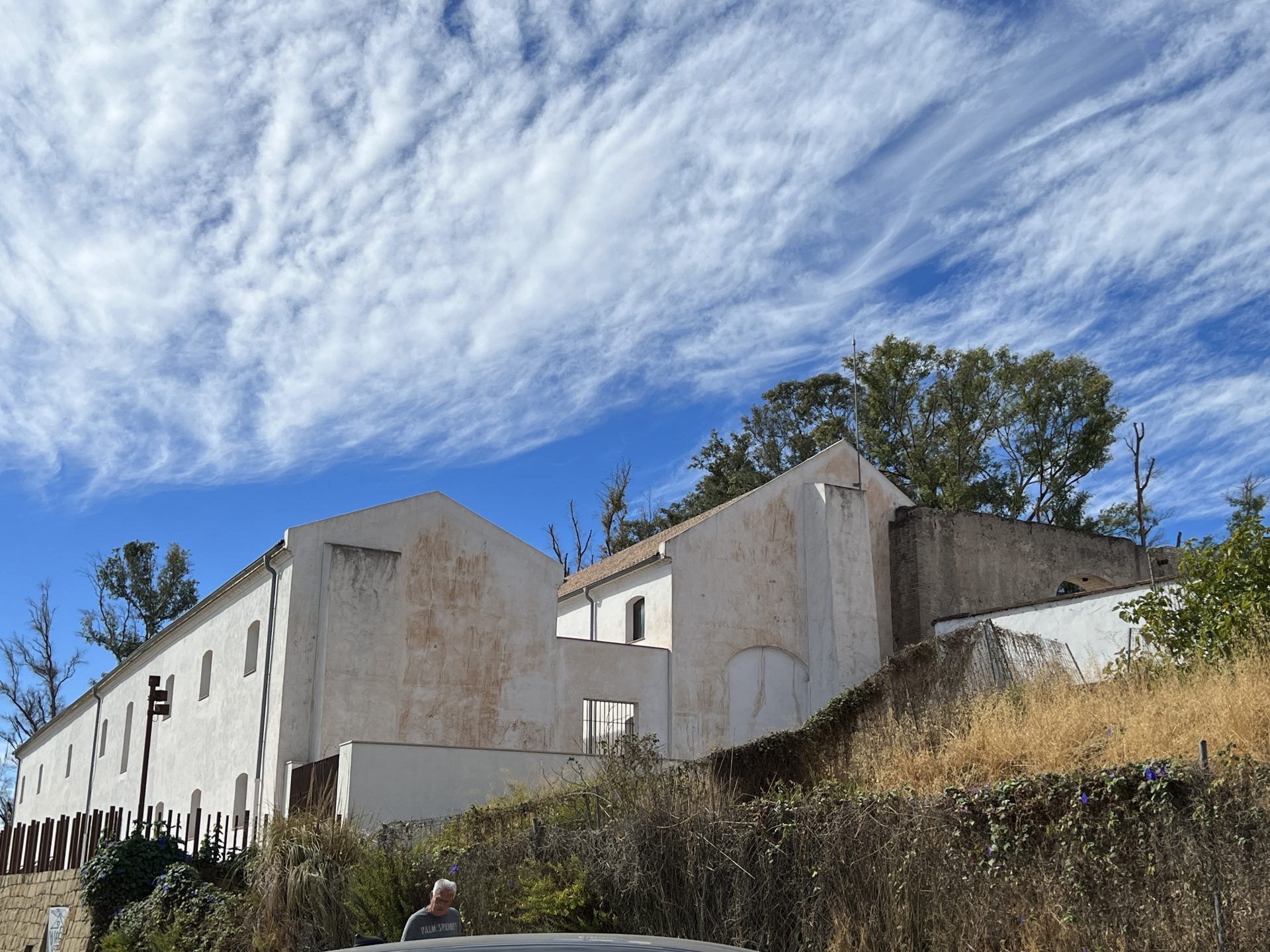 Your Olive Press guide to the best secrets of San Pedro Alcantara