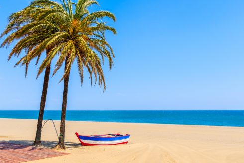 Fishing,boat,and,palm,trees,on,sandy,beach,in,estepona