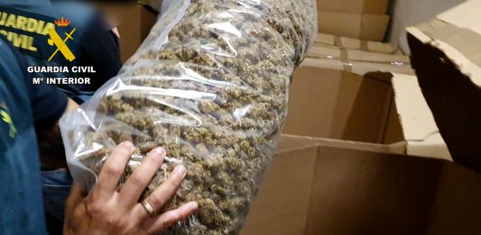 Marijuana bust